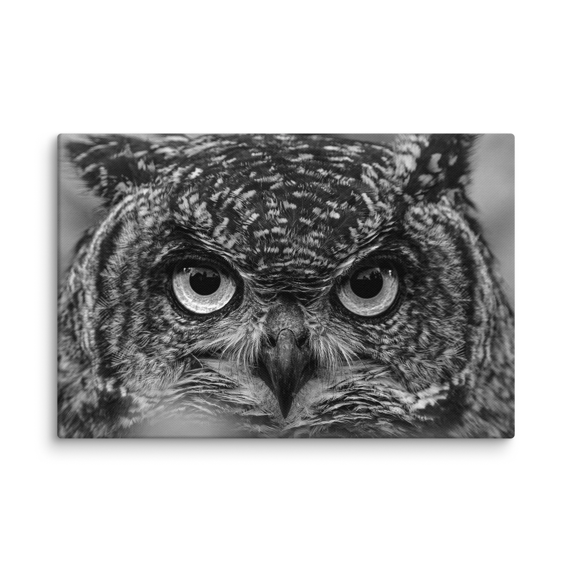The Owl product image (1)