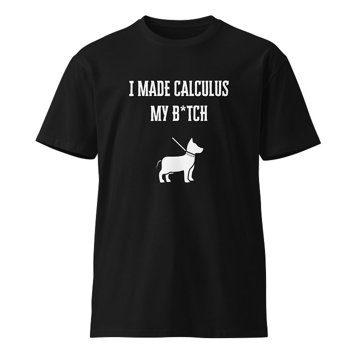 I Made Calculus My B*tch T-Shirt product image (1)