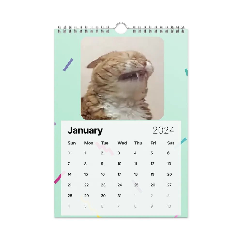 Wall Calendar (2024): Meme Cats product image (8)