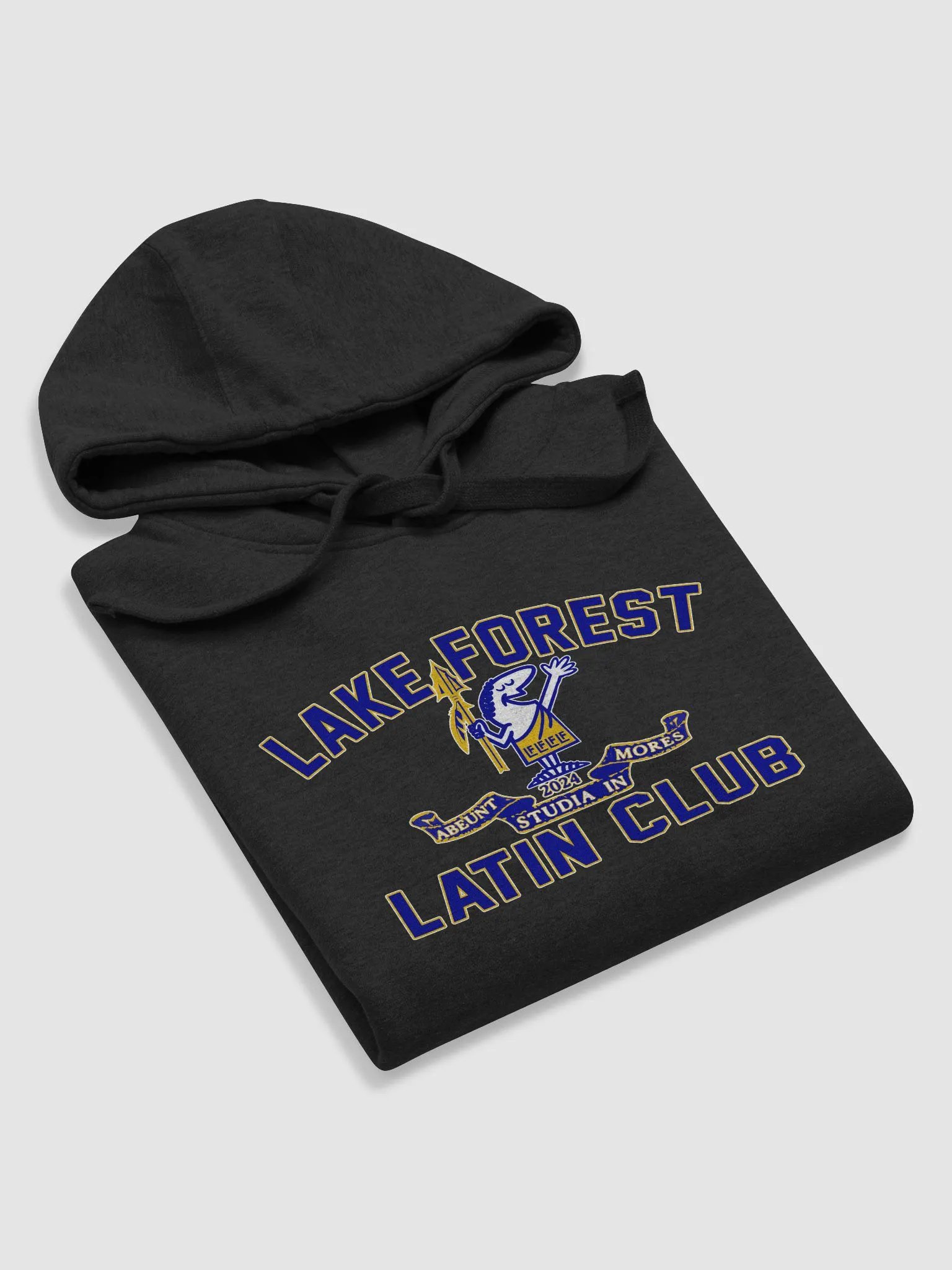 Lake Forest Latin Club Hoodie product image (46)