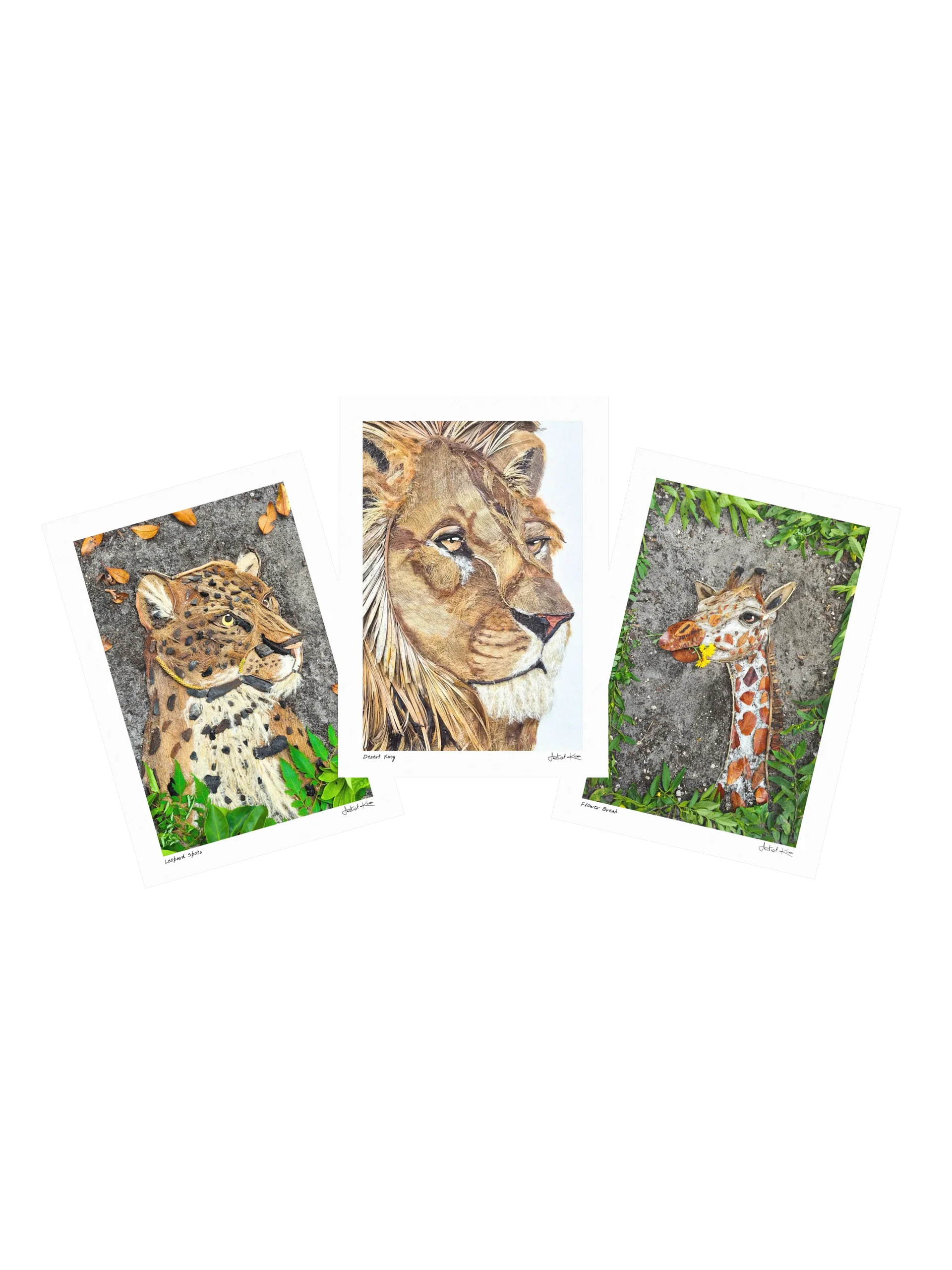 AFRICAN WILDS COLLECTION | Small Prints product image (1)