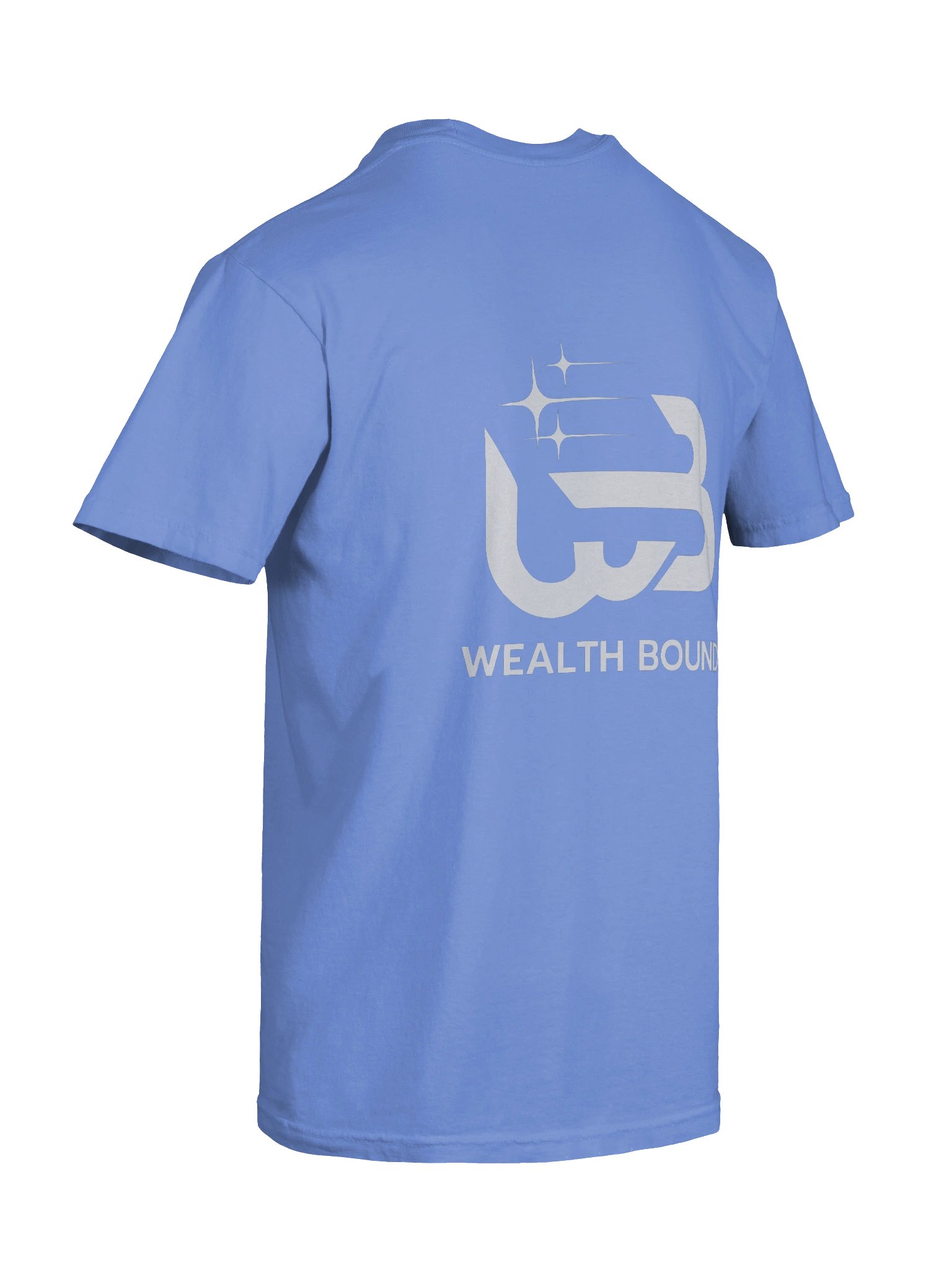Garment-Dyed Heavyweight T-Shirt product image (11)