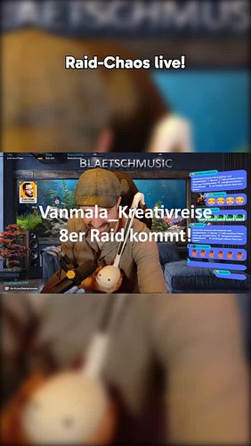 Raid-Chaos pur! #twitchraid #streamfail #blaetschmusic #livemusik
