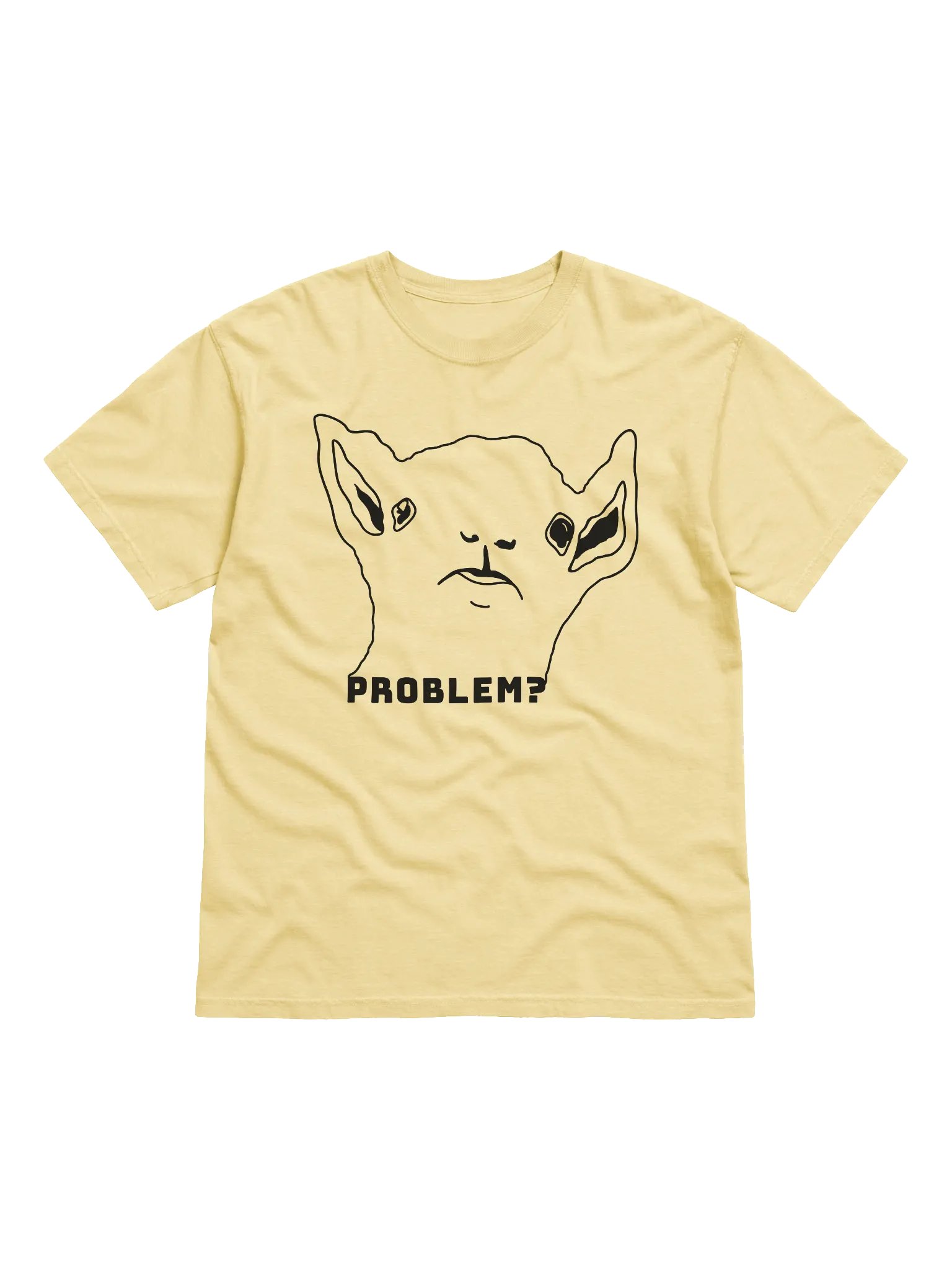PROBLEM? - HEAVYWEIGHT T-SHIRT product image (36)