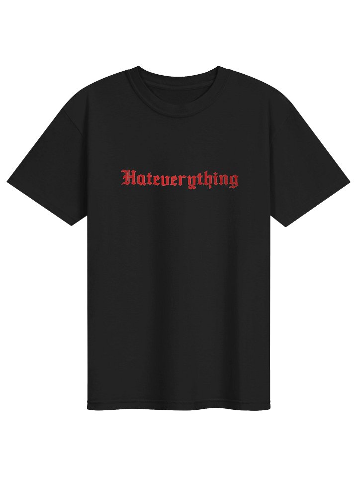 Embroidered Hateverything Heavyweight T product image (1)