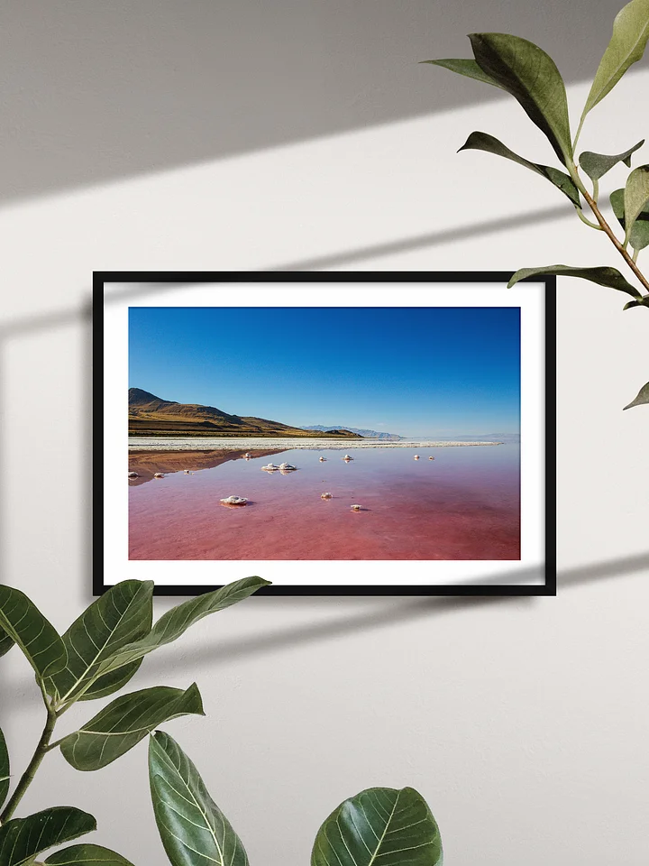 Stansbury Island Great Salt Lake Poster product image (2)