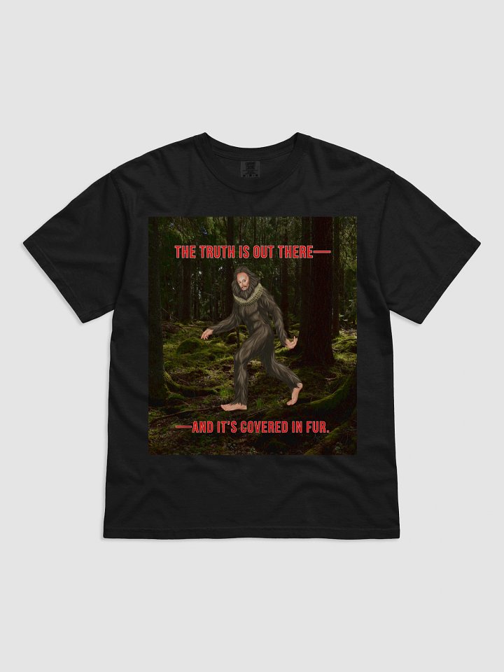 The Truth is out there! product image (14)
