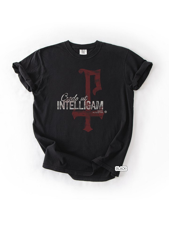 I believe so that I may understand - credo ut intelligam - St. Augustine - Comfort Colors T-Shirt product image (1)