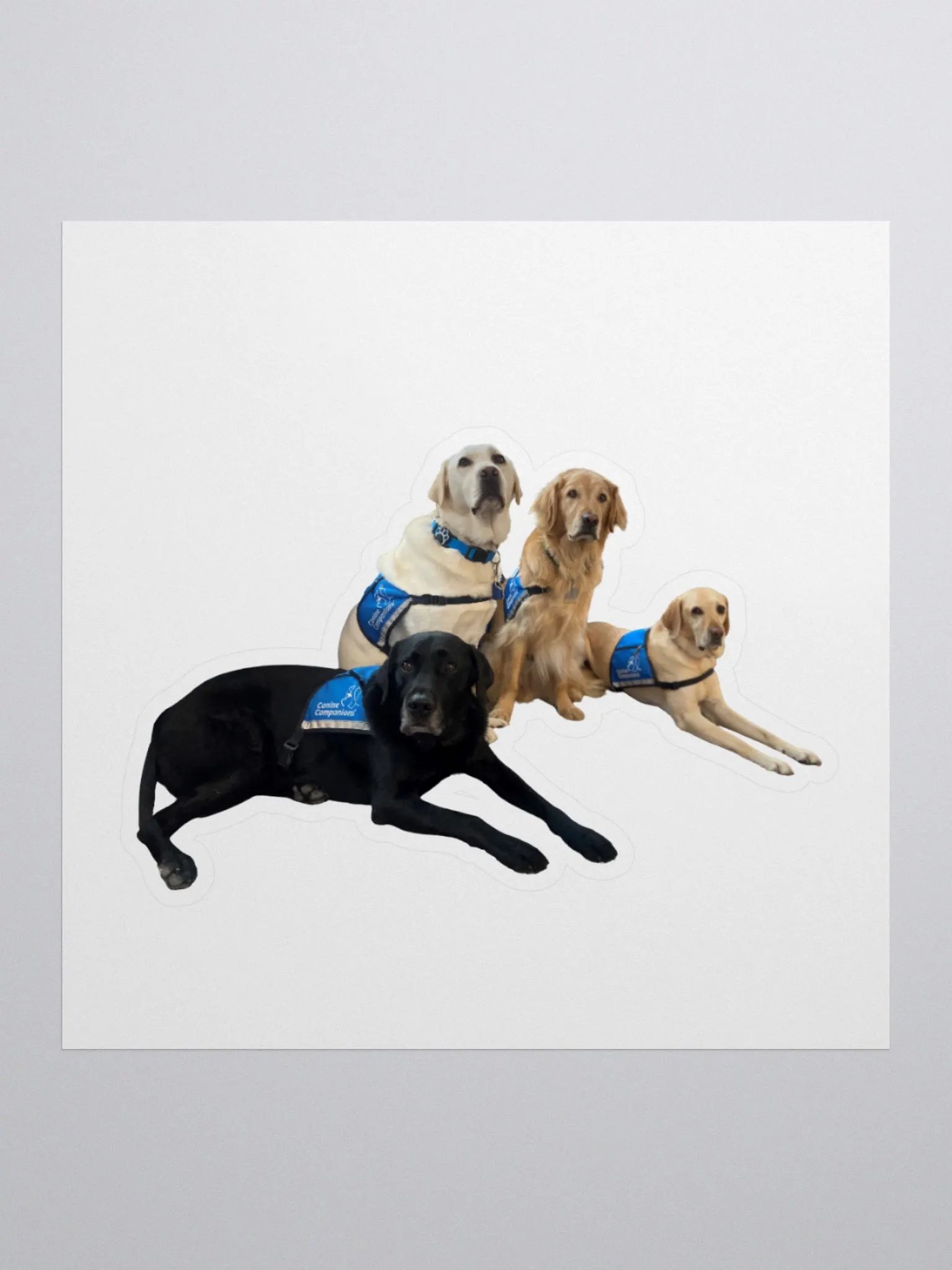 Facility dogs stickers product image (1)