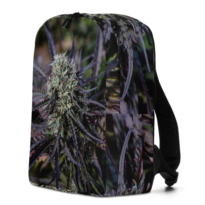 Royal Purple Cultivated Simple Backpack product image (2)