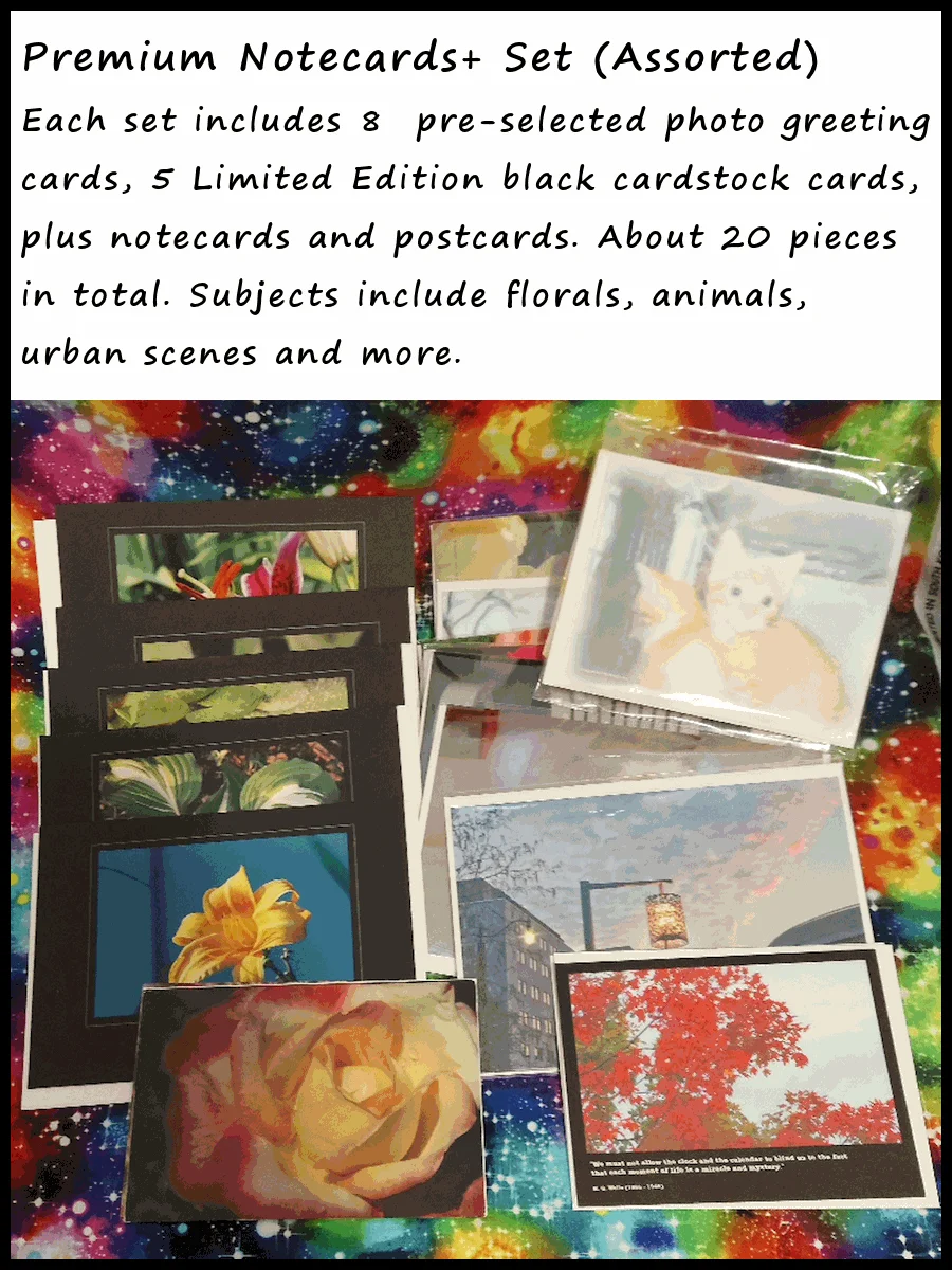 Premium Notecard+ Set product image (1)
