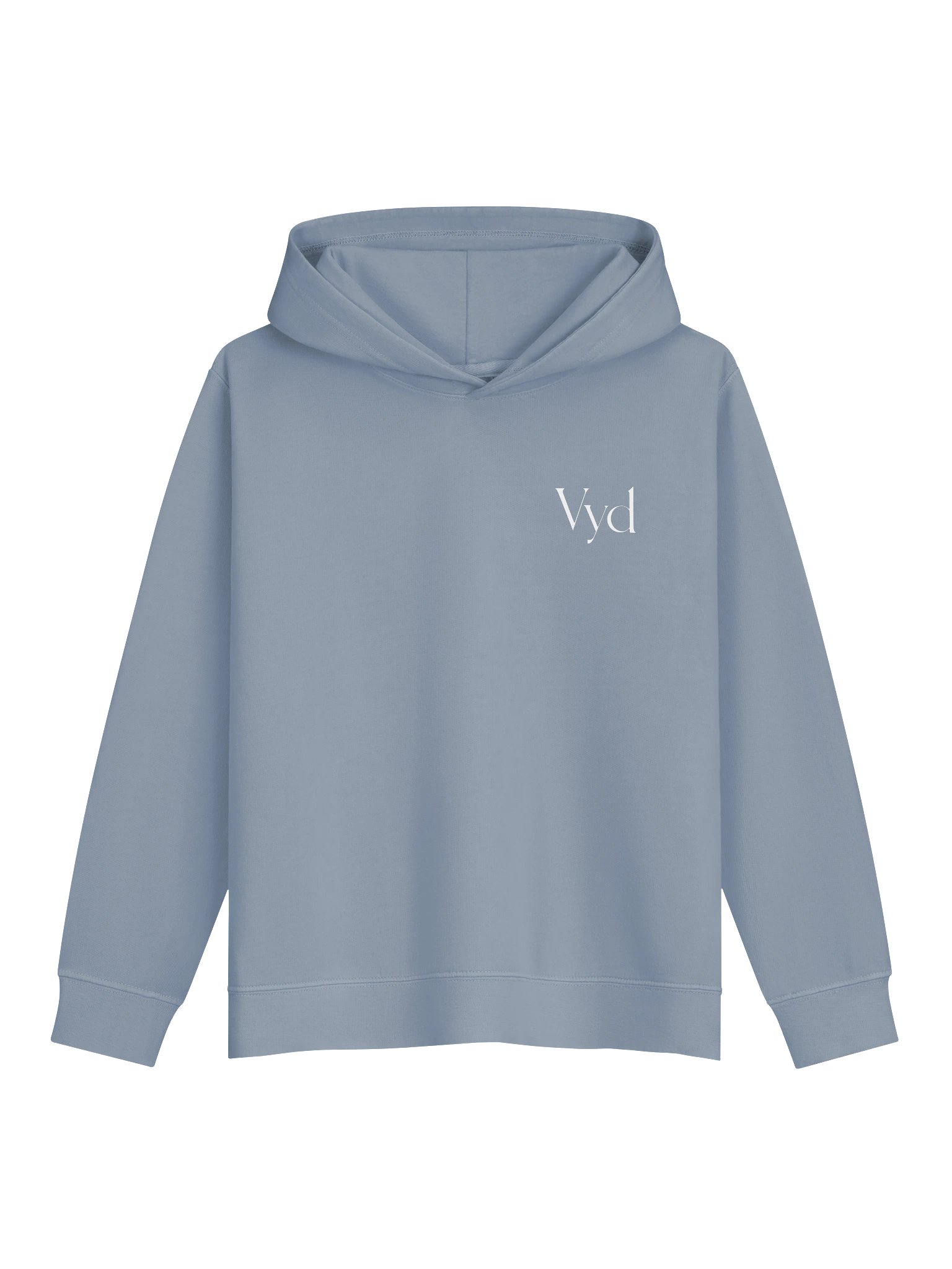 Vyd Youth Hoodie product image (3)