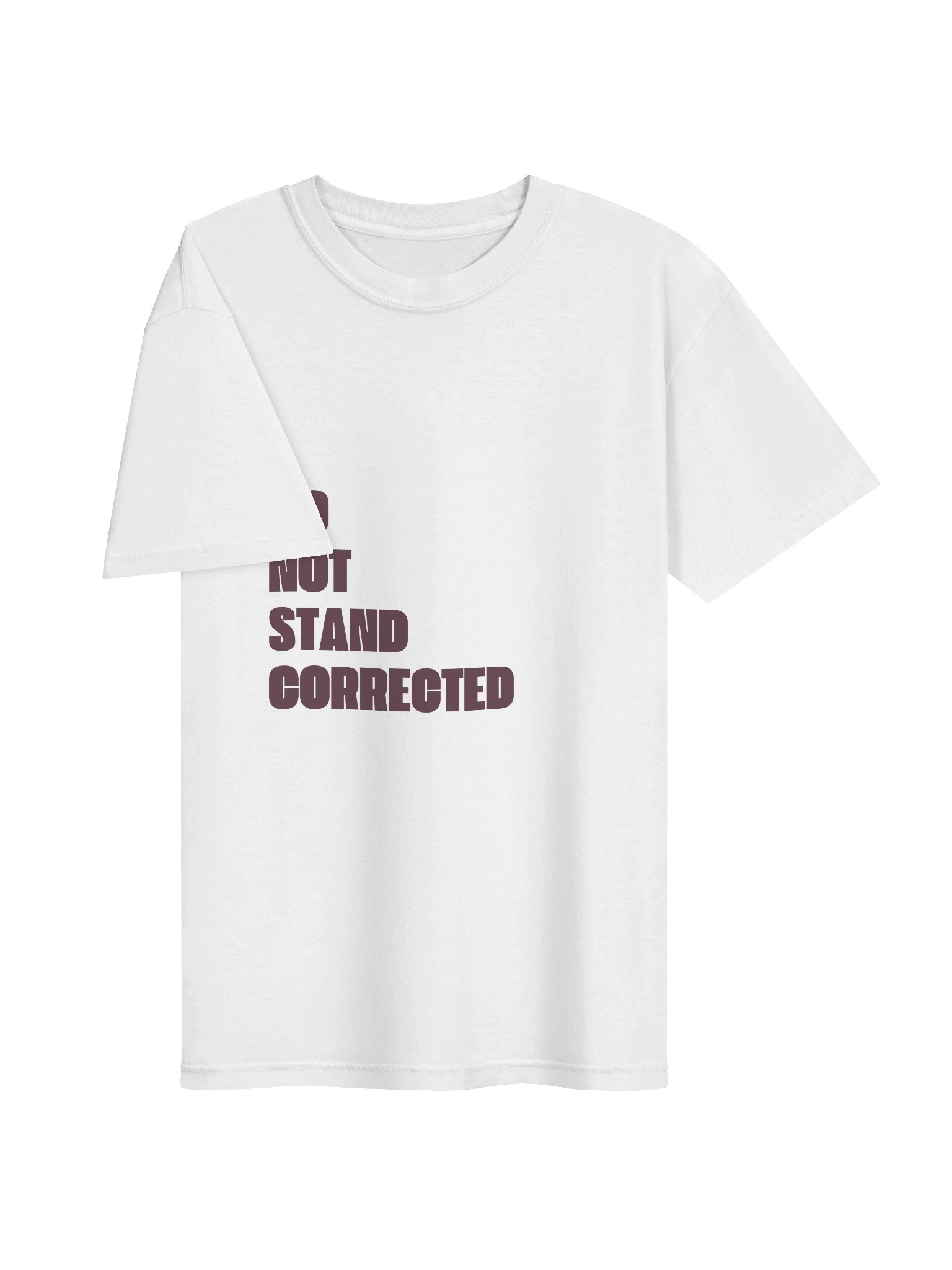 I DO NOT STAND CORRECTED product image (3)