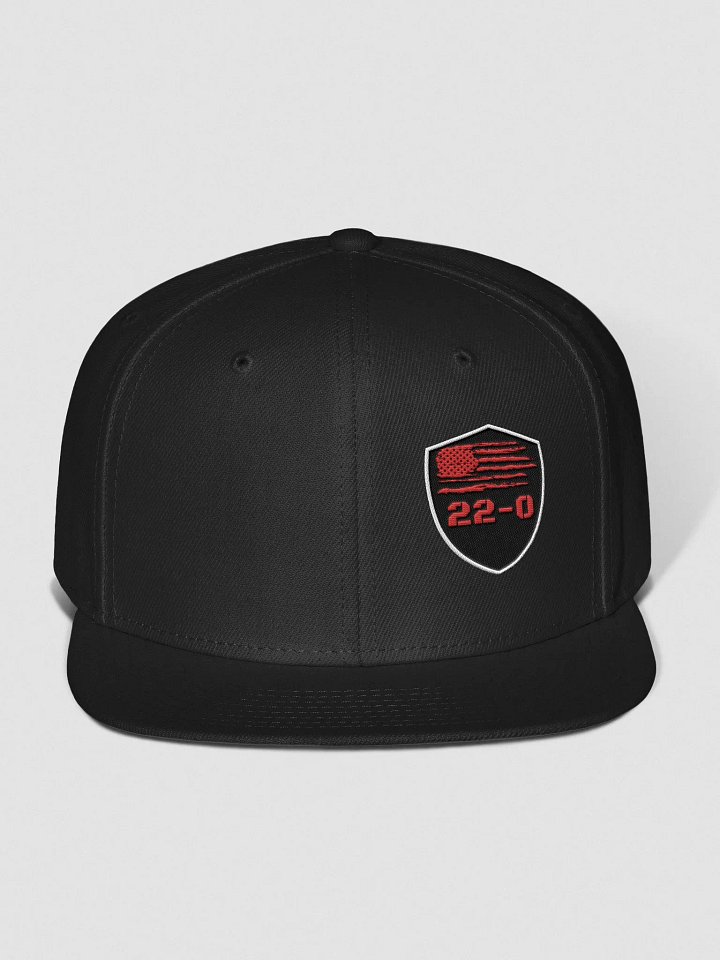 22-0 SIGNATURE HAT product image (2)