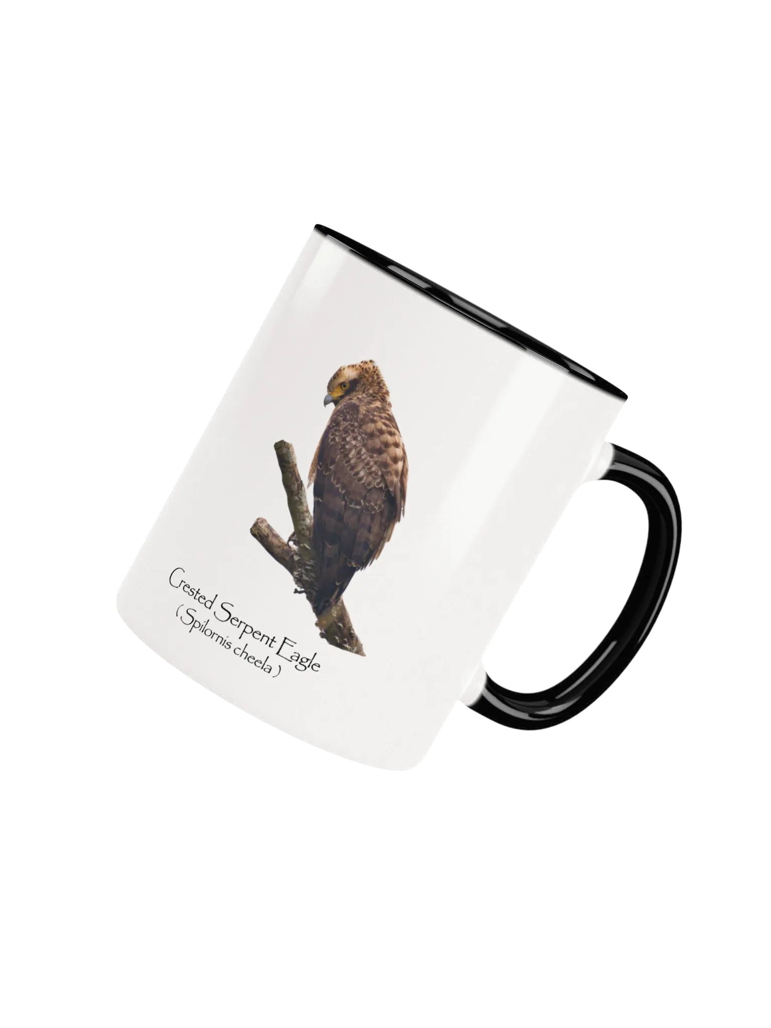 Crested Serpent Eagle mug product image (34)