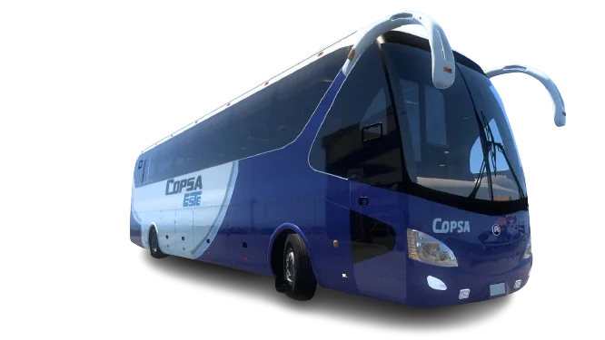 COPSA ESTE 🇺🇾 ETS2 | Terrestre product image (3)