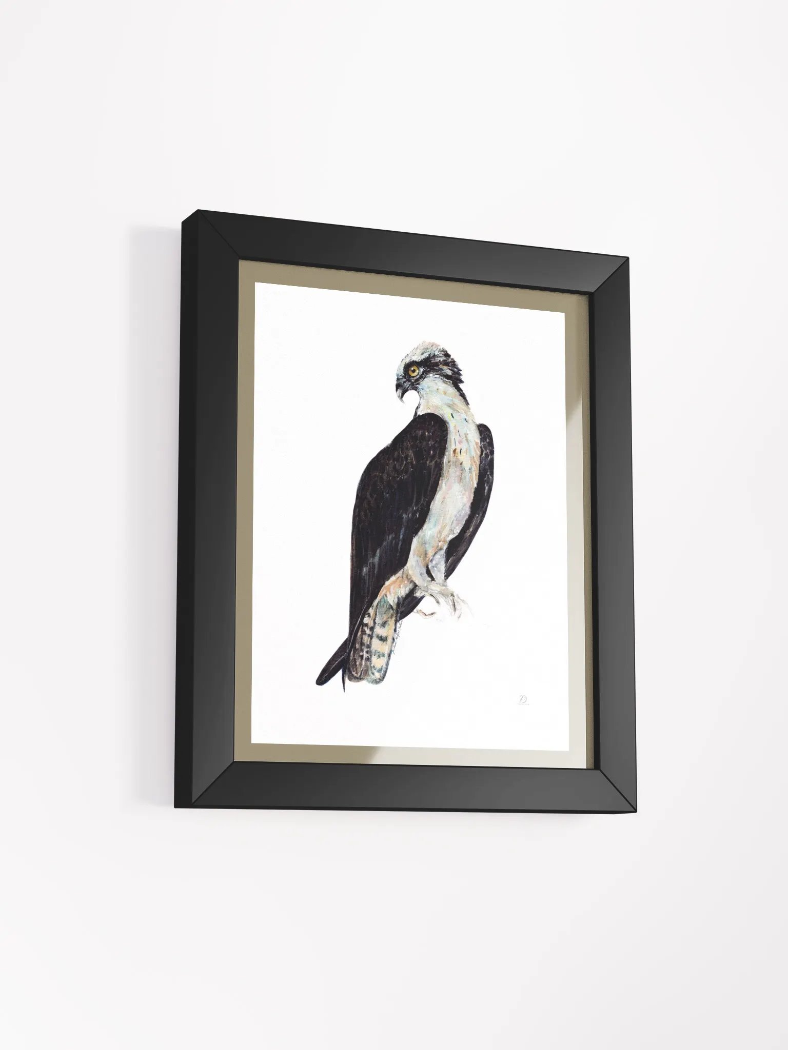 Osprey poster: Empower product image (2)