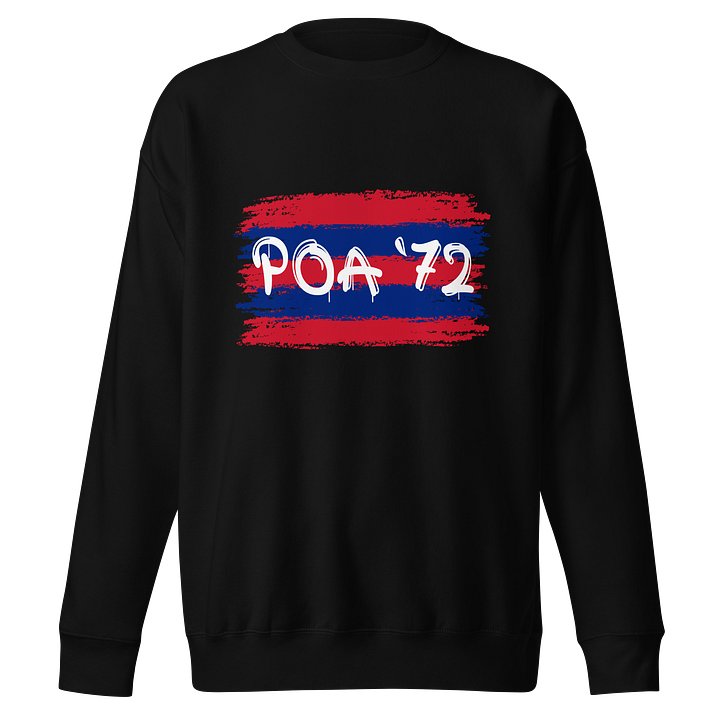 POA 72 Brush-Stroke Sweatshirt product image (1)