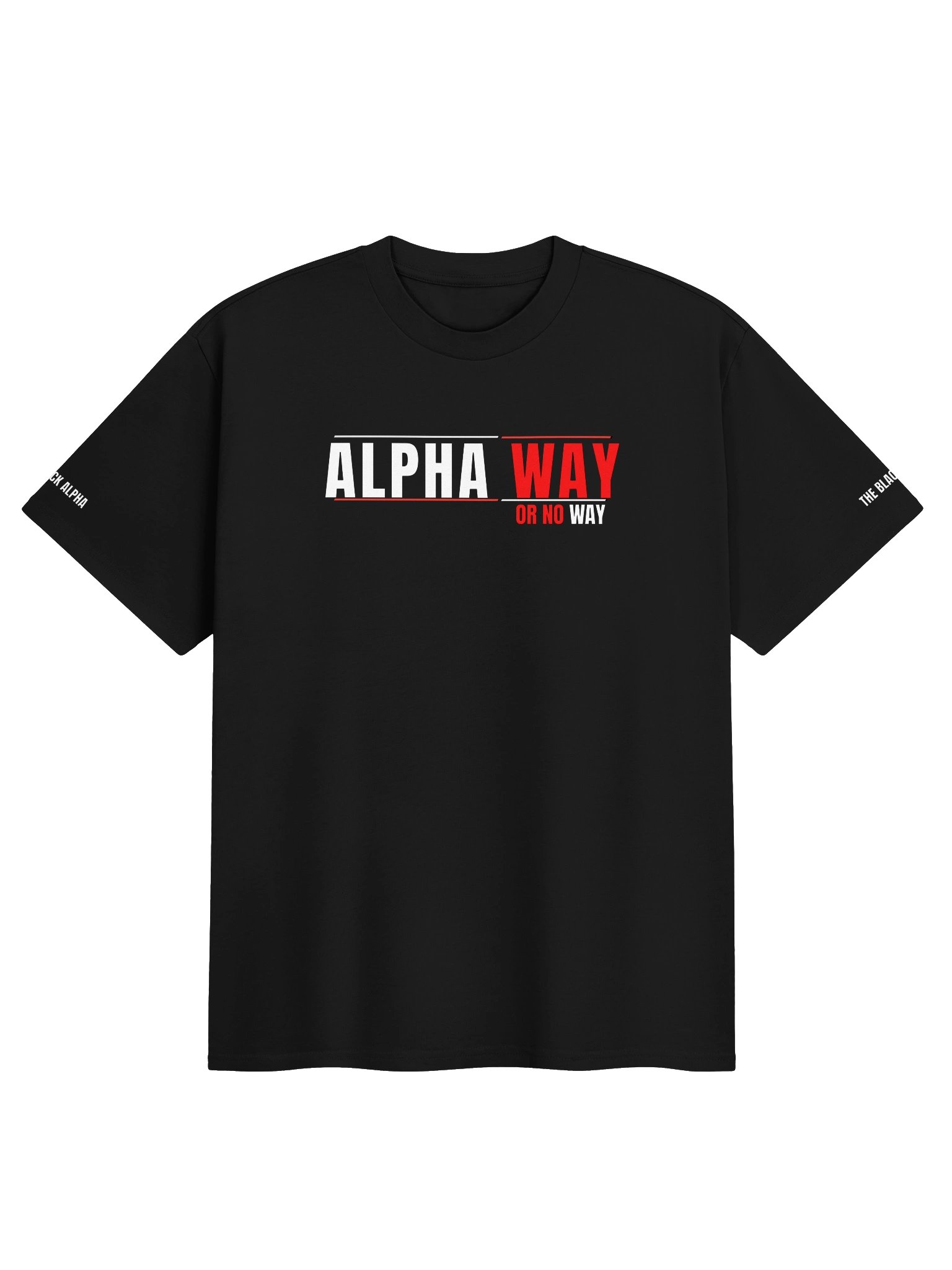 Alpha Way Heavy Tee product image (1)