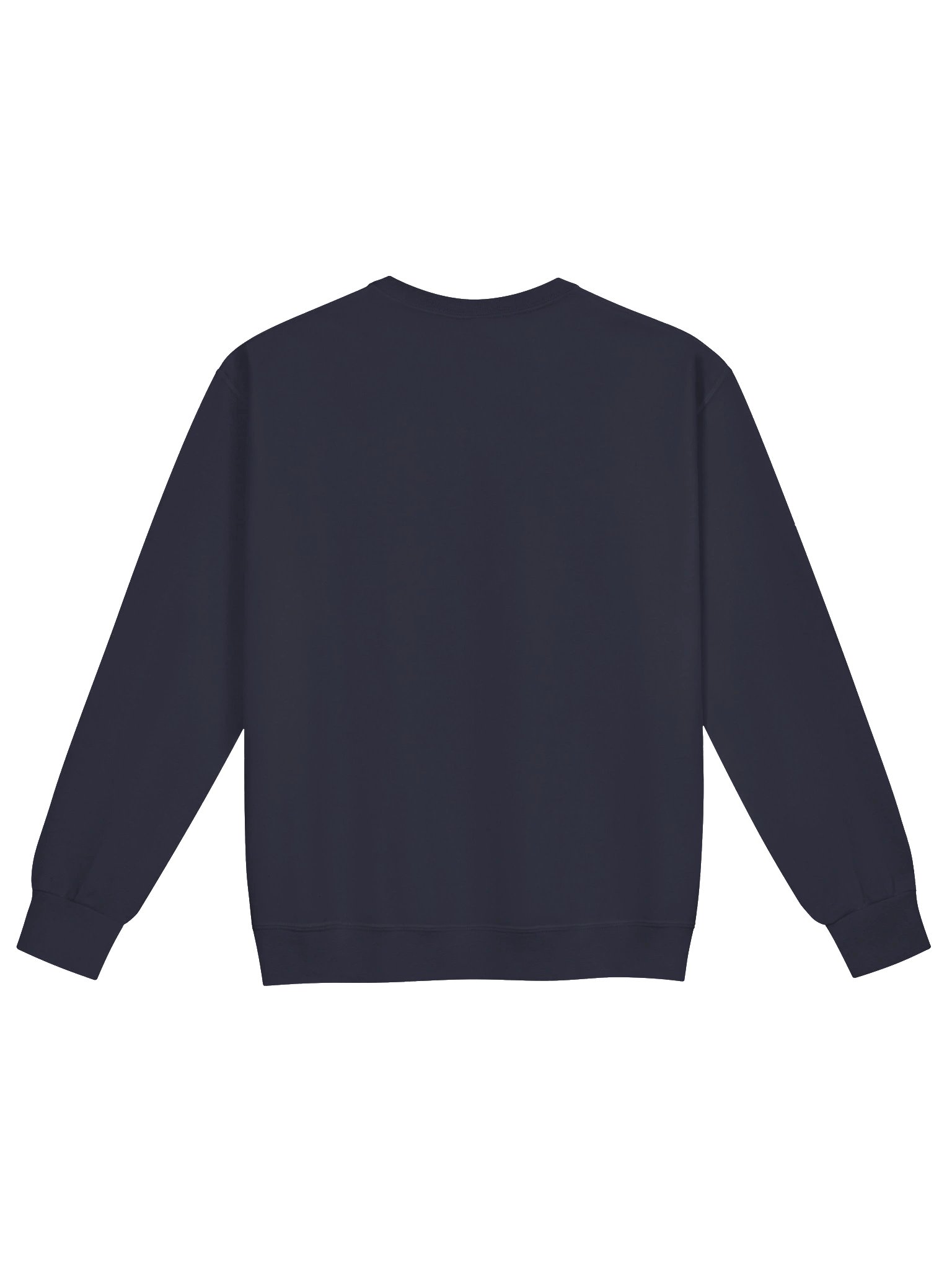 Queens College Sweatshirt product image (3)
