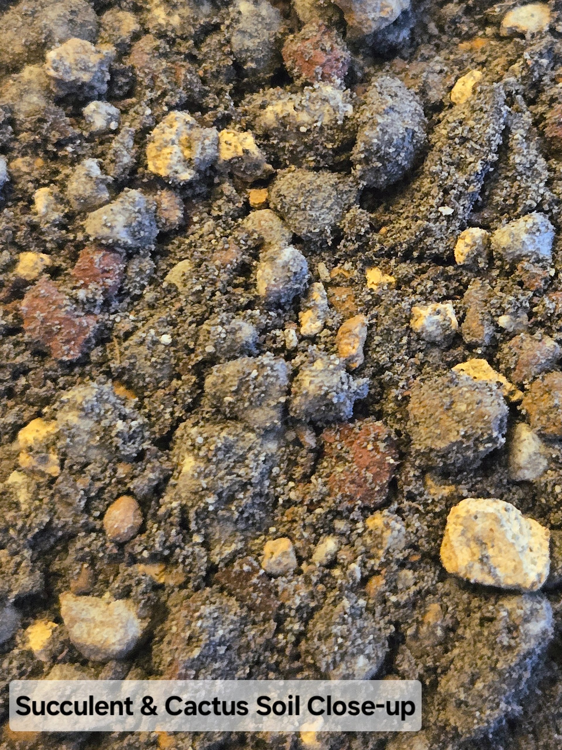 Succulent & Cactus Soil product image (6)