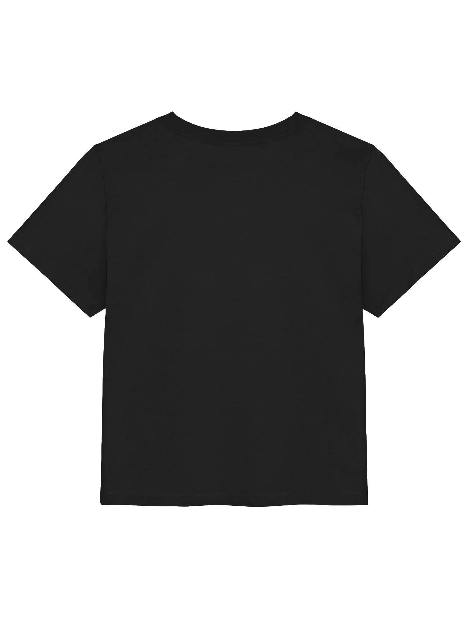 Embroided t-shirt (Women) product image (2)
