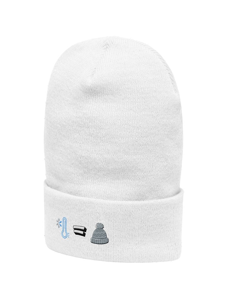Cold Logic Cuffed Beanie product image (14)