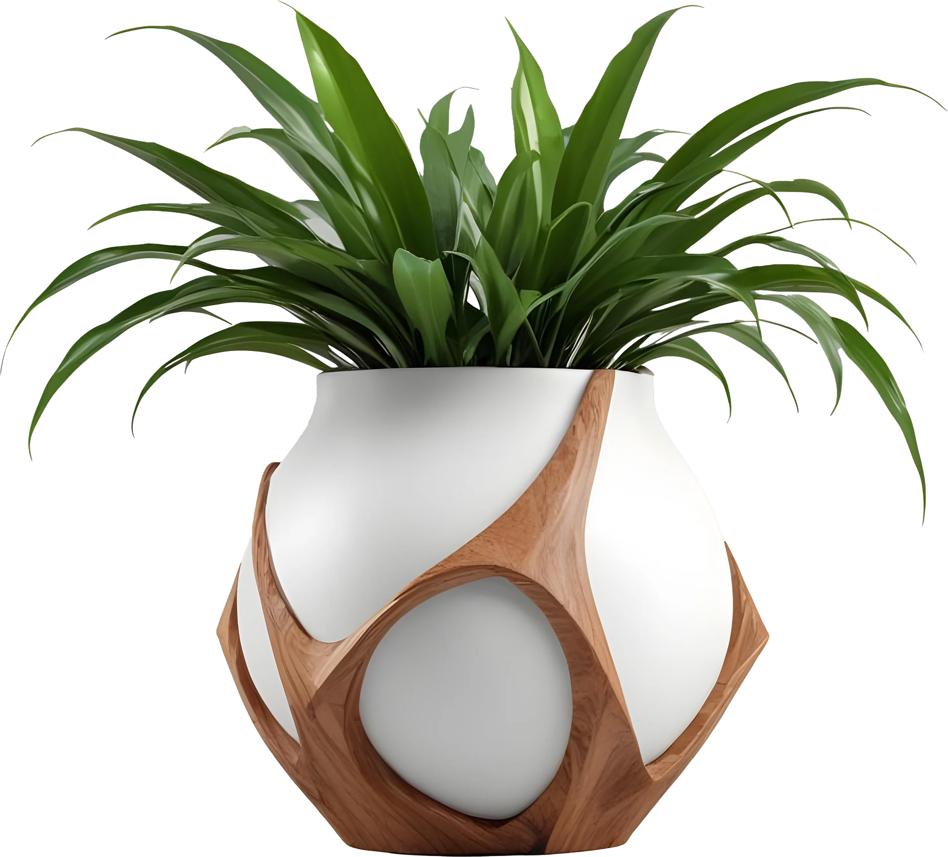 Wooden Embrace collection – Pot with Plant PNG product image (1)