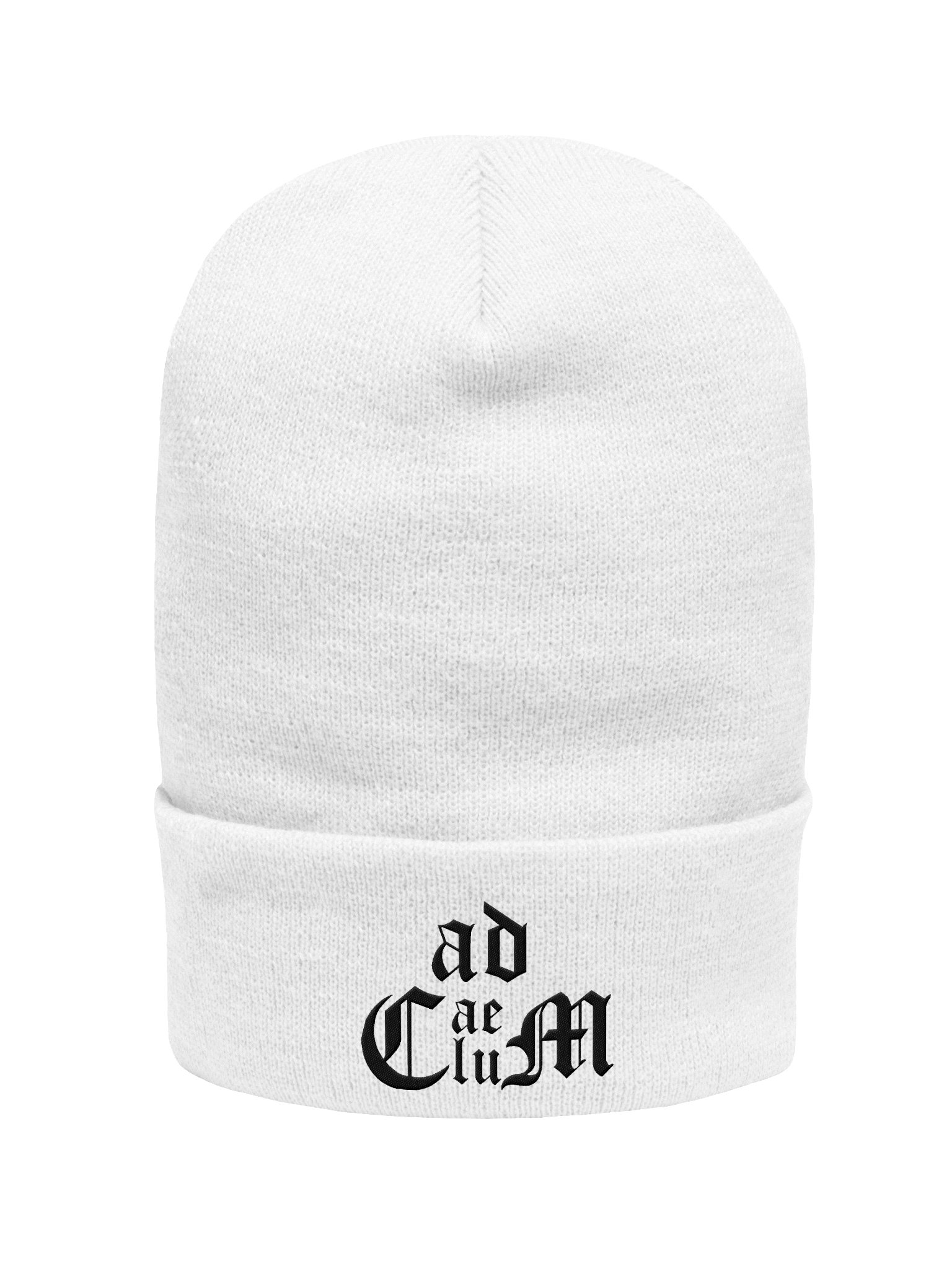 Generic Logo Beanie (Black Logo) product image (1)