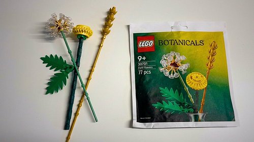 Flower Friday!

Lego Botanicals 30701 Field Flowers (Unboxing & Review)

Today on DailyWeeklyBuilds, I’m unboxing, building a...