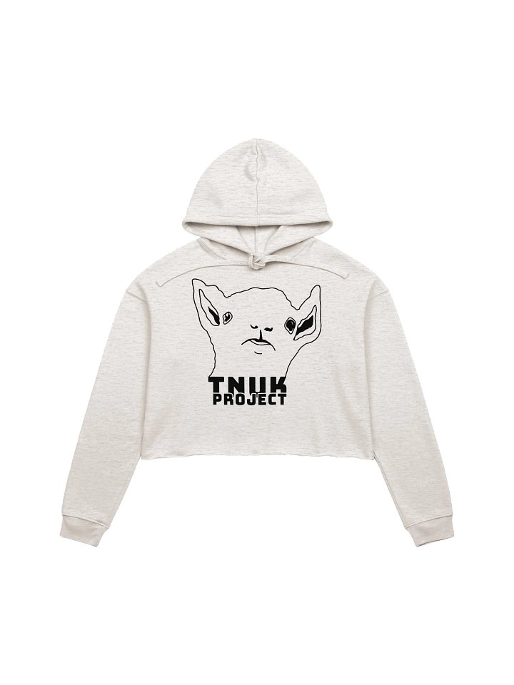PROBLEM? - CROP HOODIE product image (5)