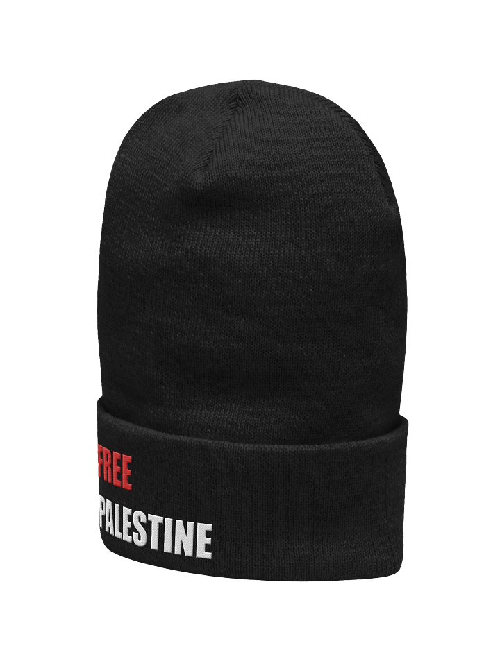 Free Palestine - Beanie product image (2)