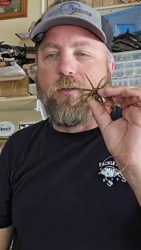 How to catch bass with Arsenal Morning Star 🌟 & Similar Urchin or Coike Style baits.