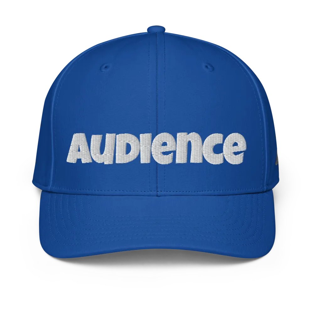 "Audience" baseball hat product image (1)