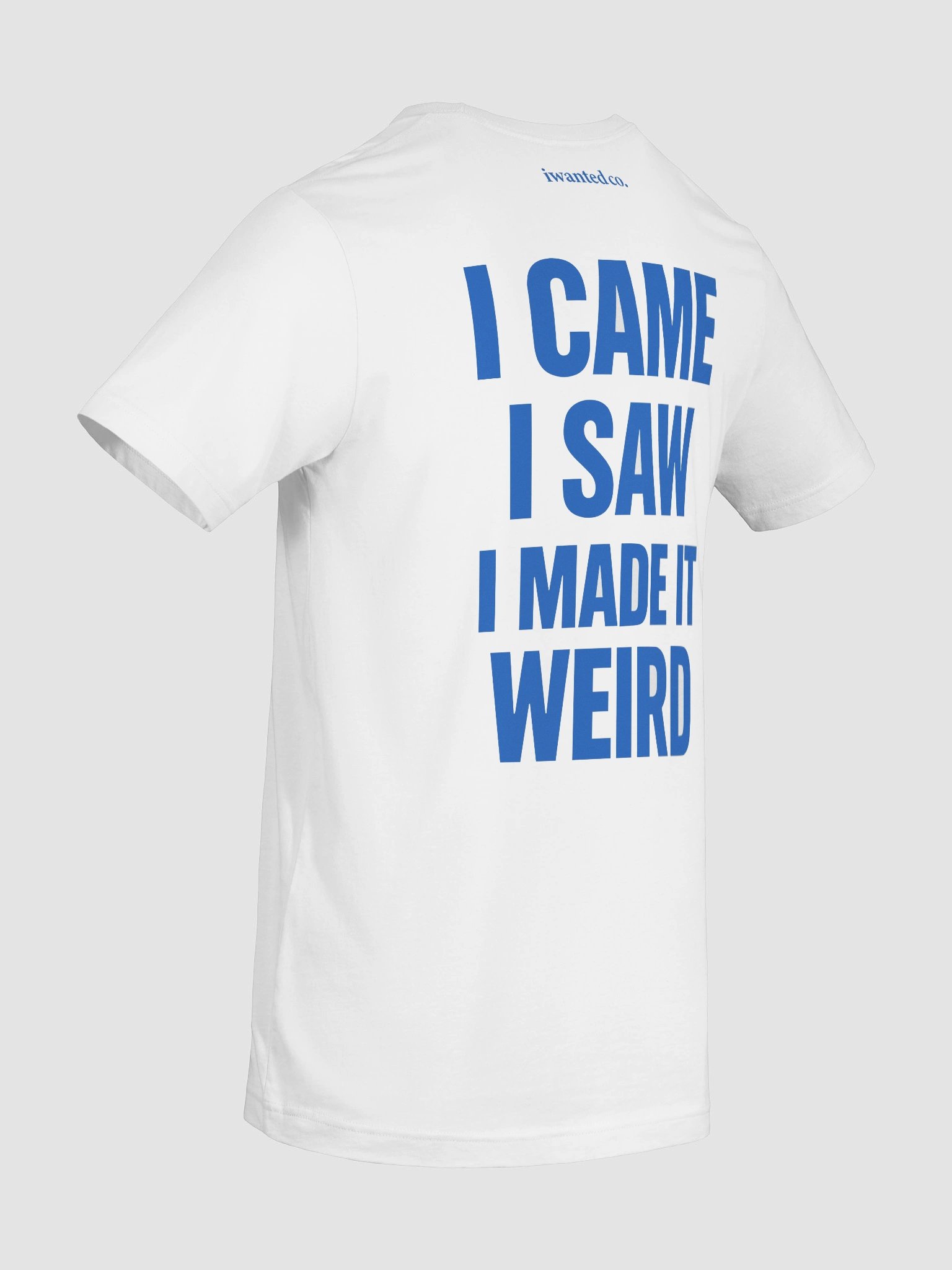 I Came I Saw I Made It Weird Tee product image (11)