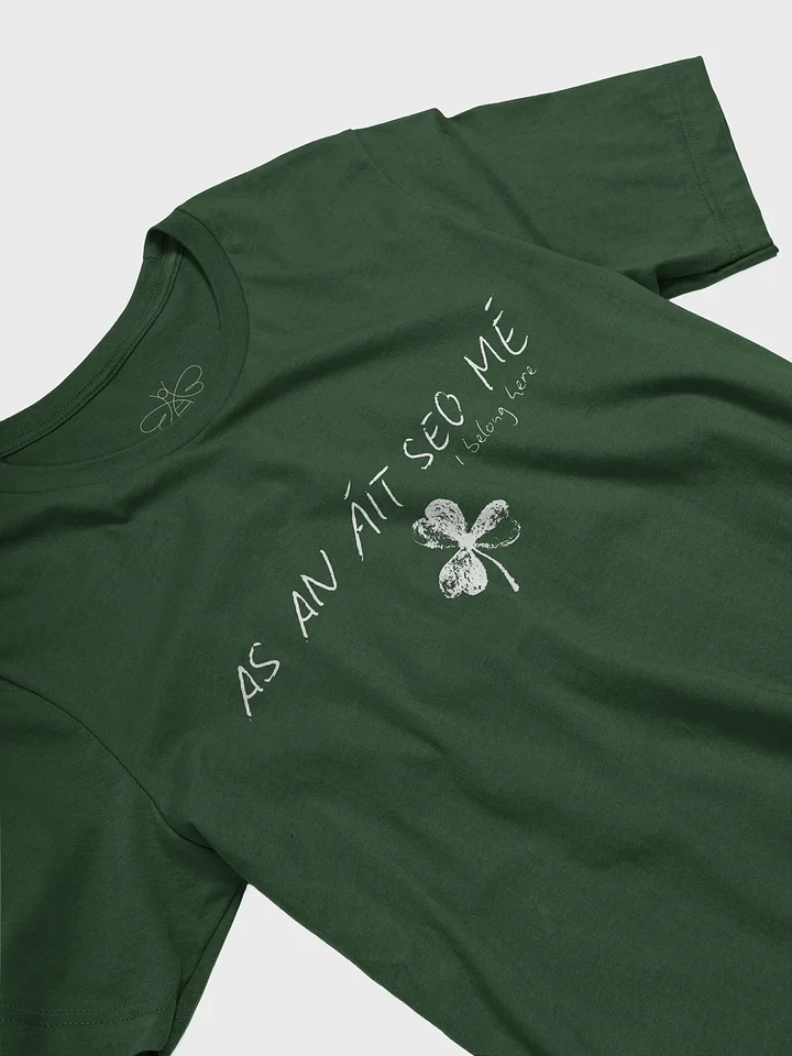As An Áit Seo Mé ( I Belong Here) T-shirt product image (2)