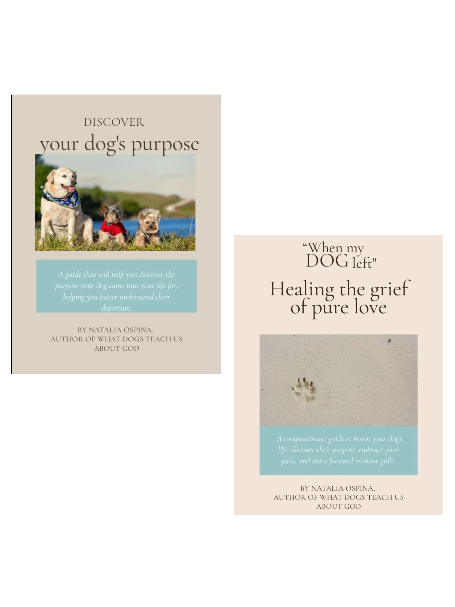 Complete Journey Pack: From Grief to Healing and Purpose product image (1)