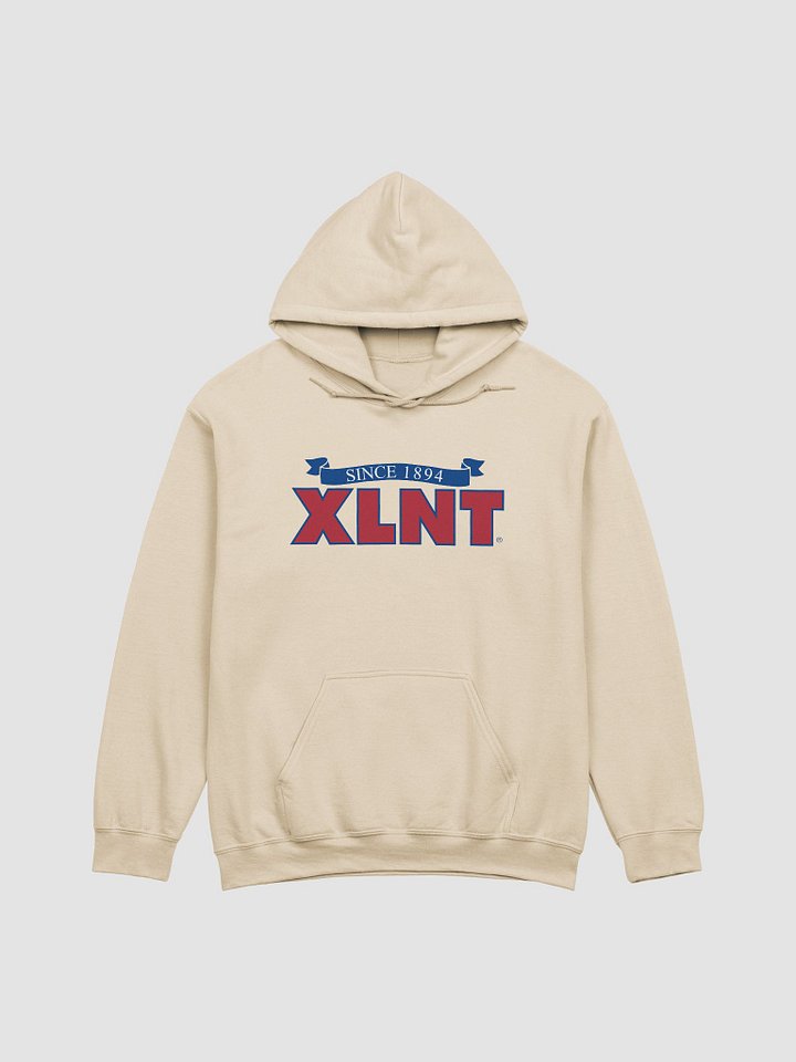 XLNT Foods Logo Hoodie product image (10)