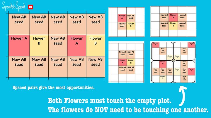 HKIA Flower Breeding Plot Basics & Between Type Breeding product image (1)