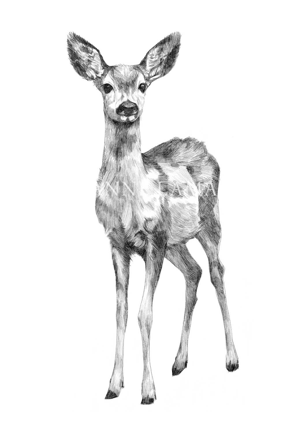 Deer | The Heart of Shadow Art Print product image (1)
