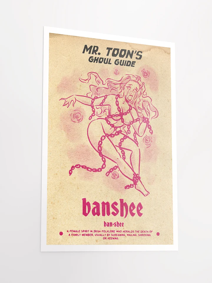 Mr. Toons Ghoul guide: Banshee product image (2)