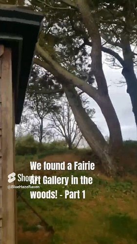 We Found Hidden Magic Art Gallery in the Woods! On Tiny Island Pt1 #art #fairy #magic @BlueHazeRaven

We found this magical f...