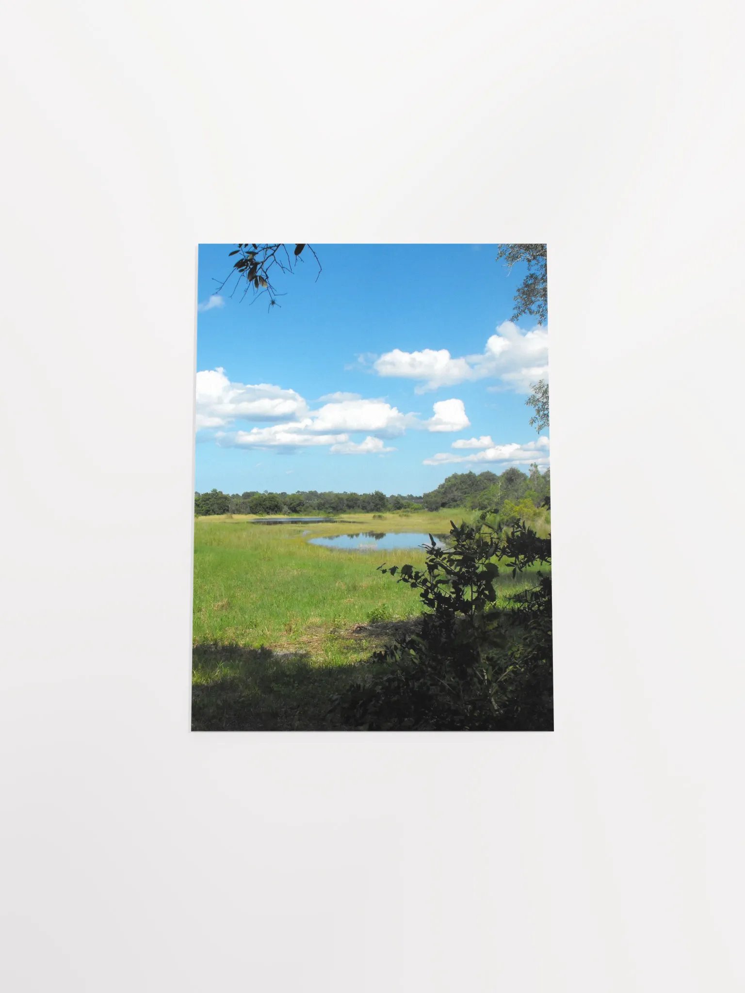 Florida Pond product image (44)