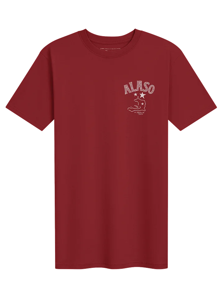 Haiti Alaso Men's Premium Tee product image (1)