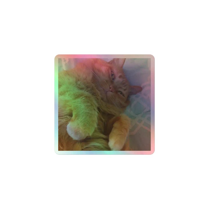 Sammy Holographic Sticker Sheet product image (1)