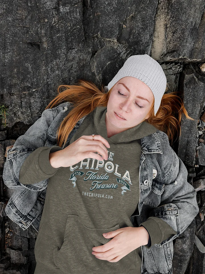 The Class Hoodie product image (1)
