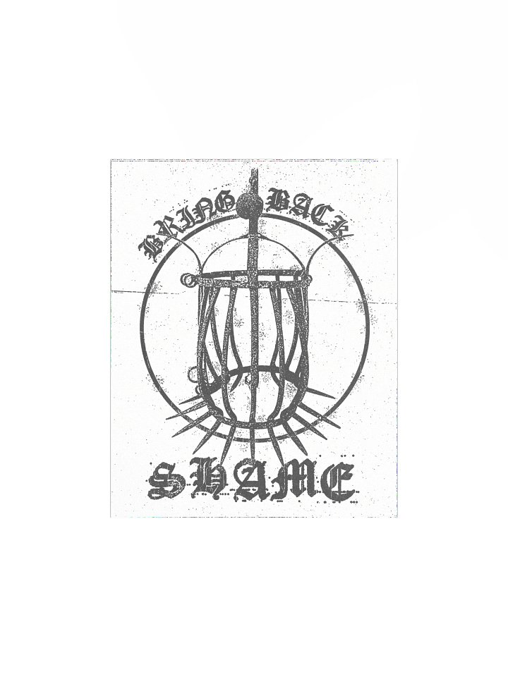 SHAME POSTER product image (1)