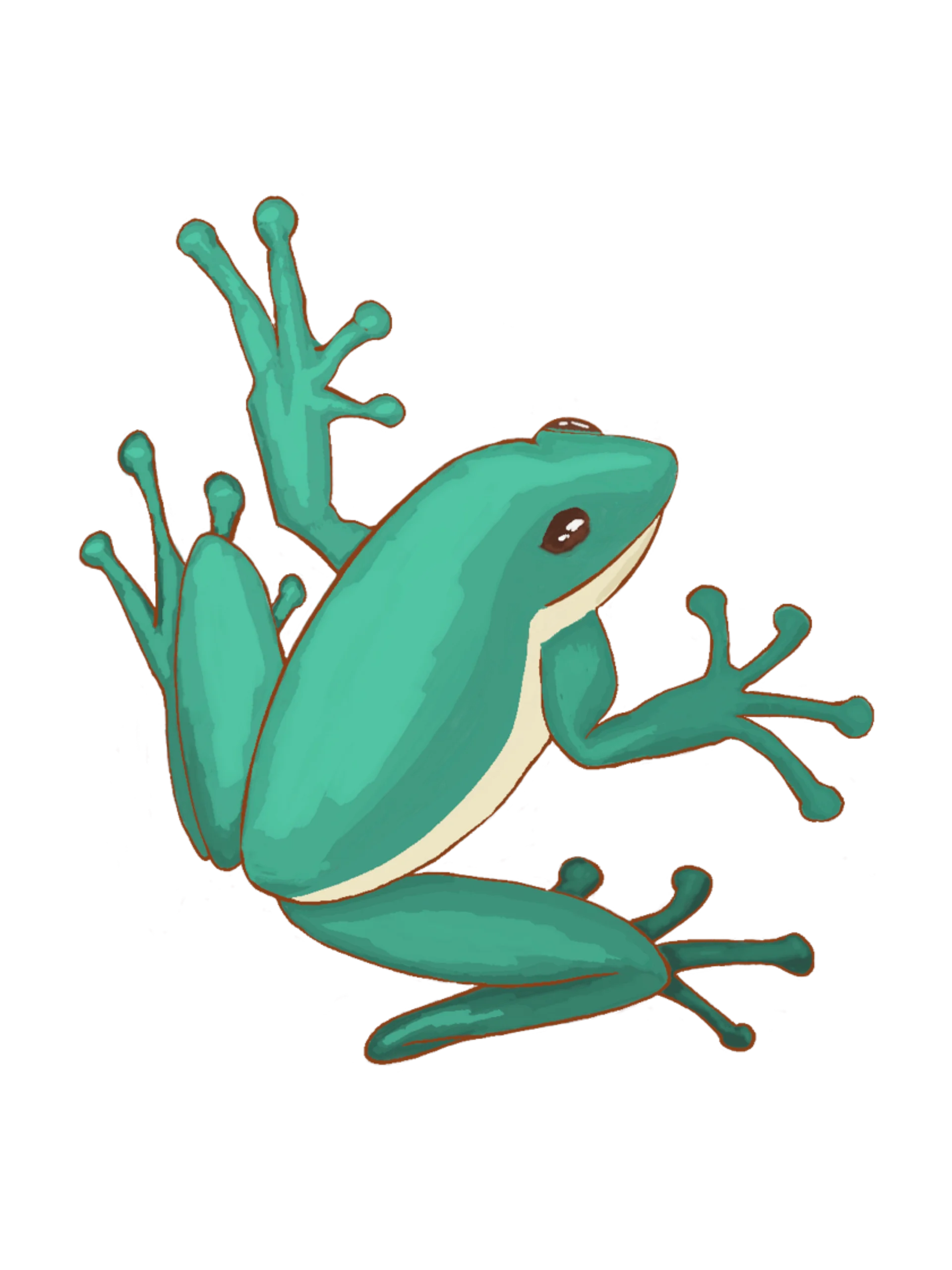 Frog Sticker product image (1)