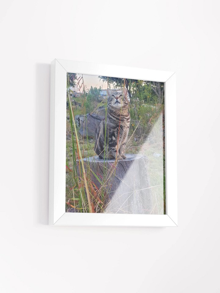 A Cat Named Purrsie Framed Matte Poster product image (2)