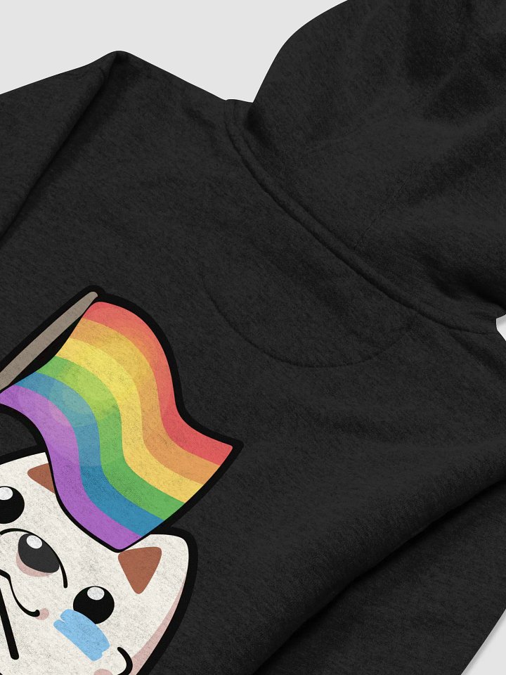 Rainbow Pride Hoodie product image (2)